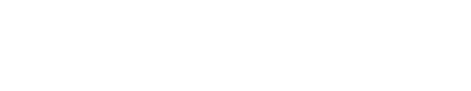 Şahsiyet