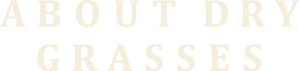 Kuru Otlar Üstüne