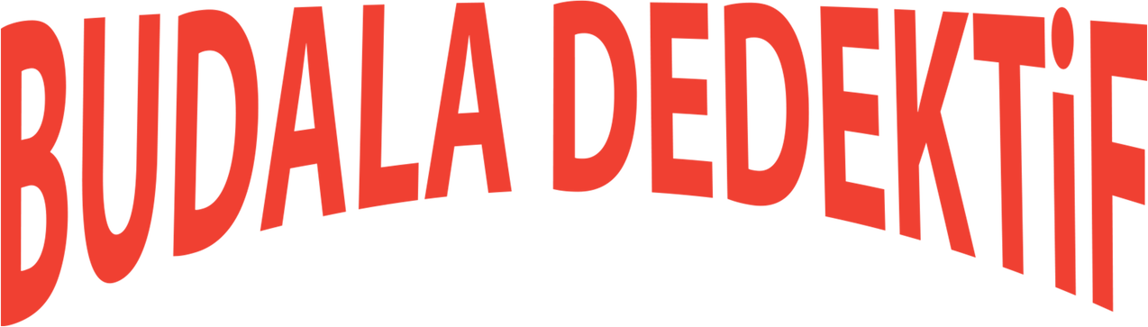 Budala Dedektif