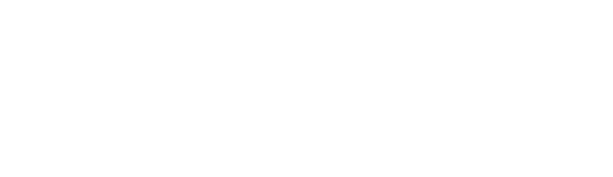 The Mandalorian