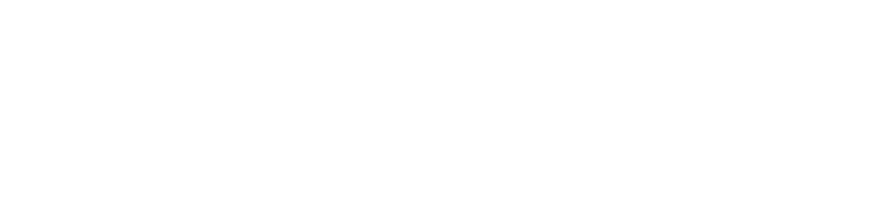 Behzat Ç.: Bir Ankara Polisiyesi