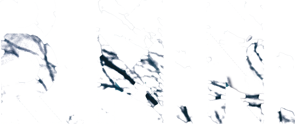 R.M.N.