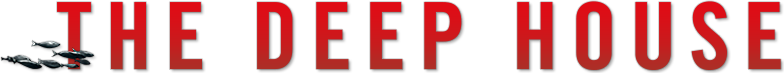 Derindeki Ev