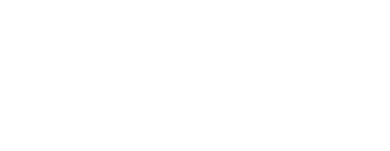 Kus uçusu