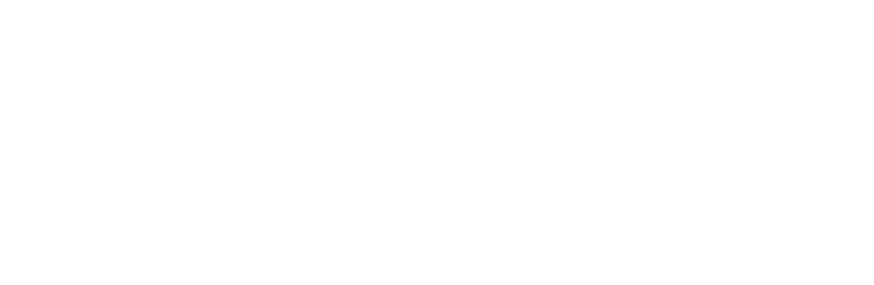 Yeni Hayat