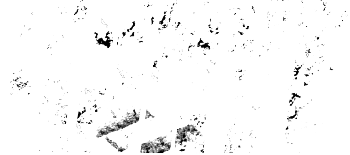 Kurye