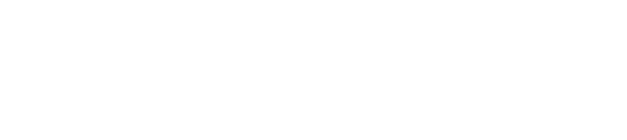 Biyonik
