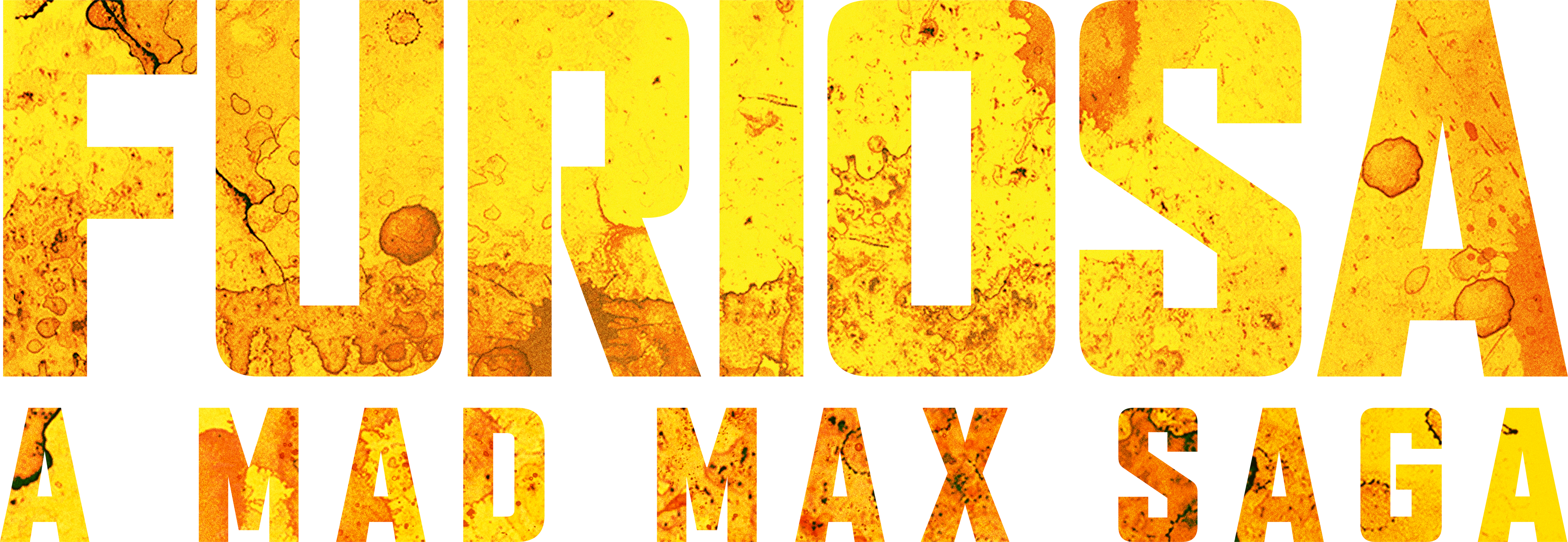 Furiosa: Bir Mad Max Destanı