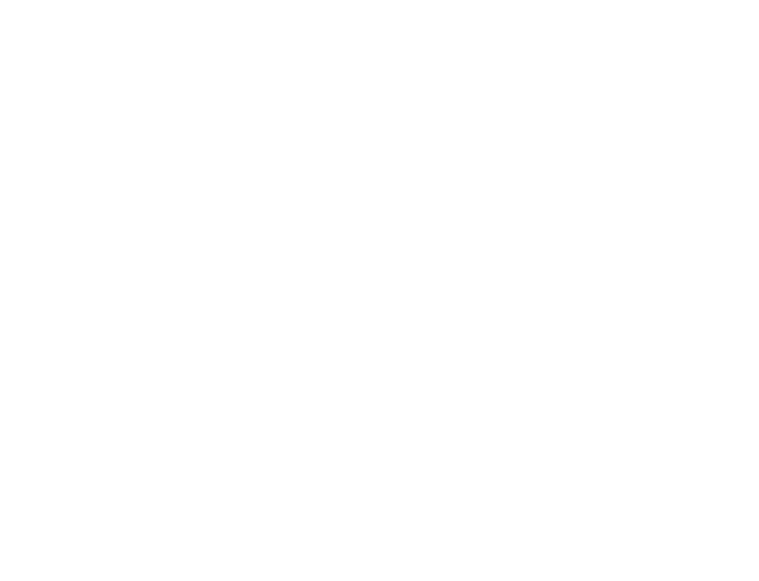 Çöpçüler Kralı