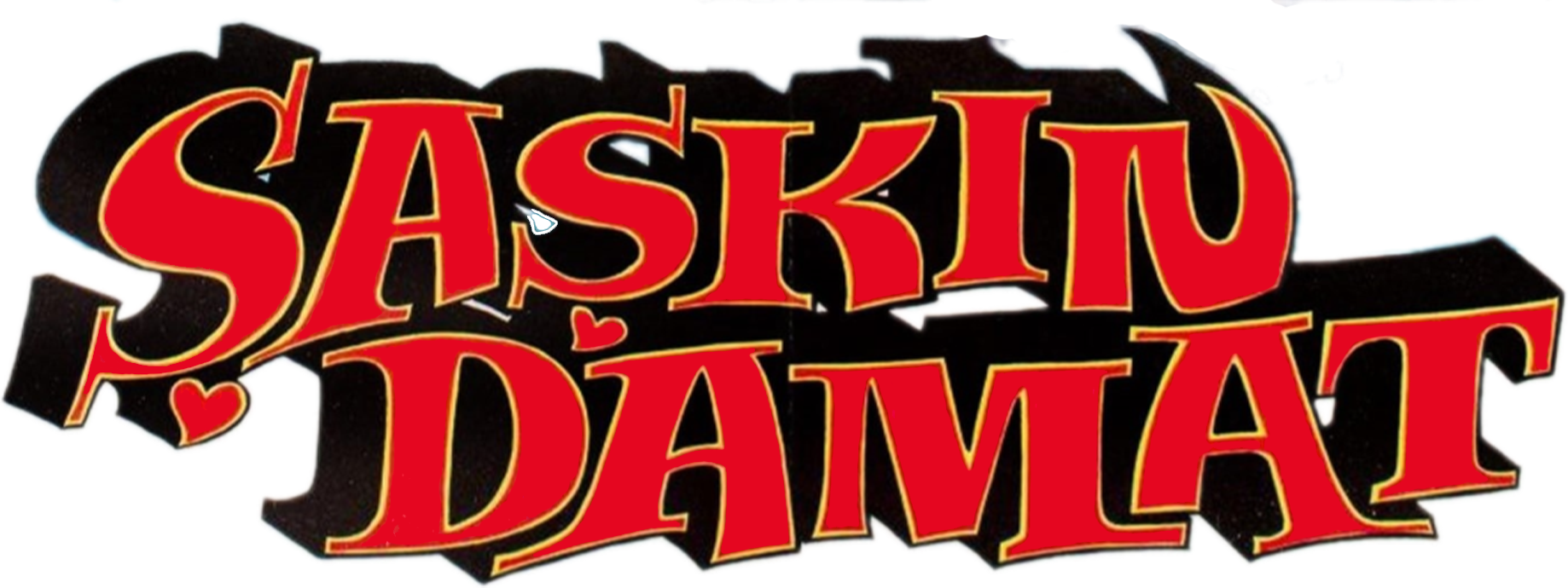 Şaşkın Damat