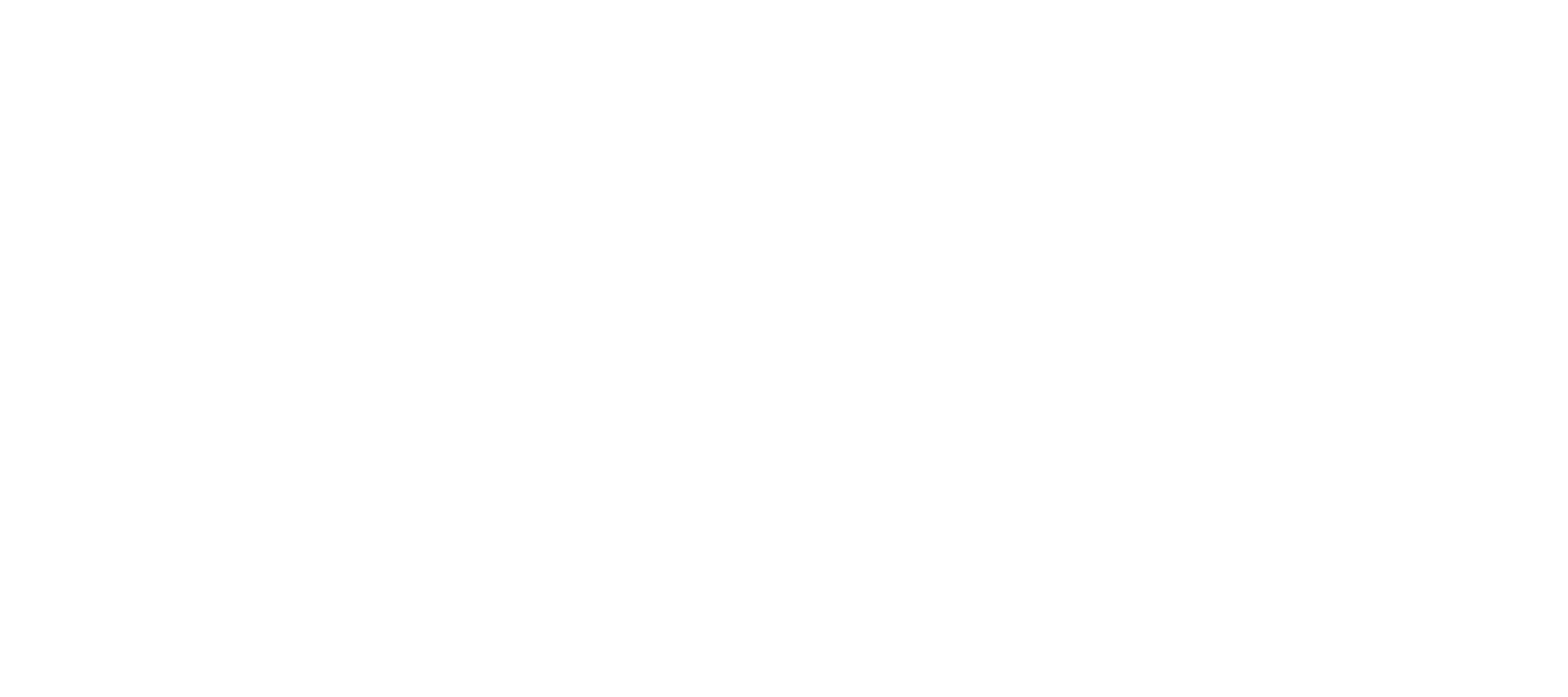 Fancy Dance