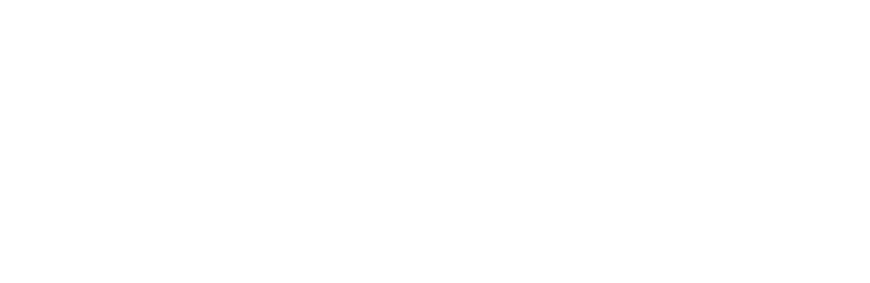 Sosyete Polisi