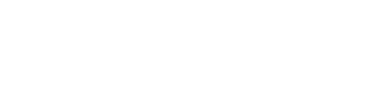 Meraklı Adamın 10 Günü
