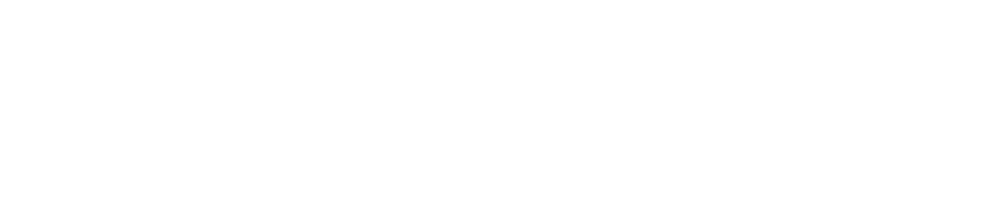 Zor Karar
