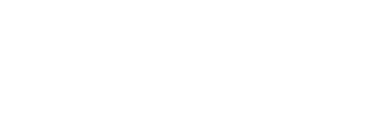 The Valet