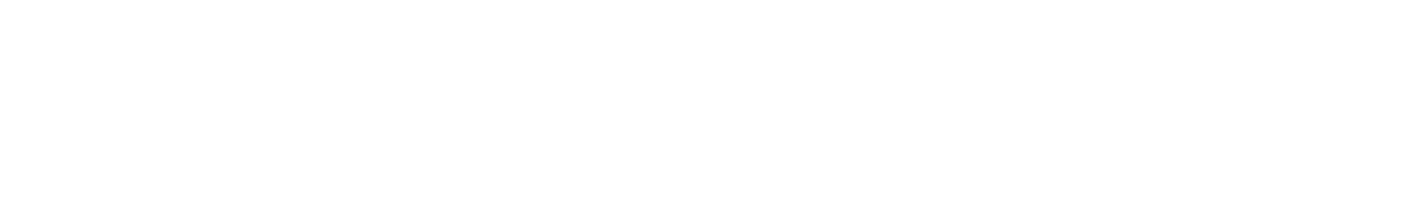 Kabin Bagajı