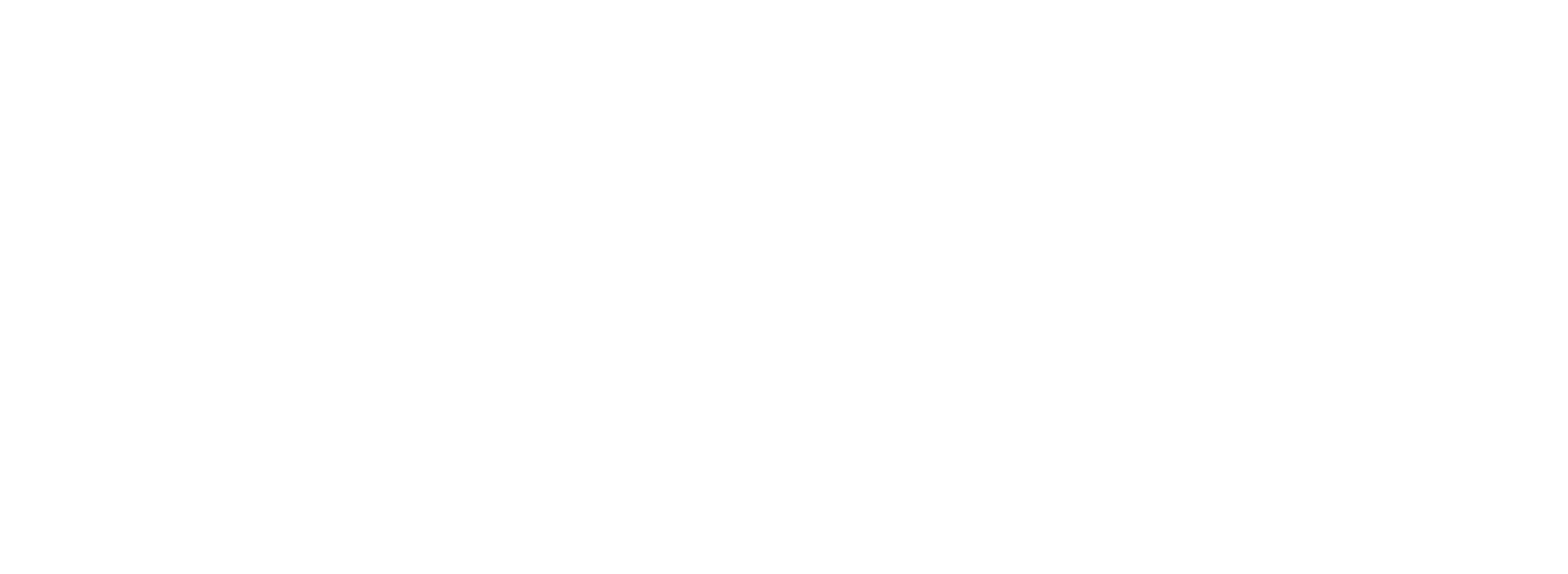Mufasa: Aslan Kral