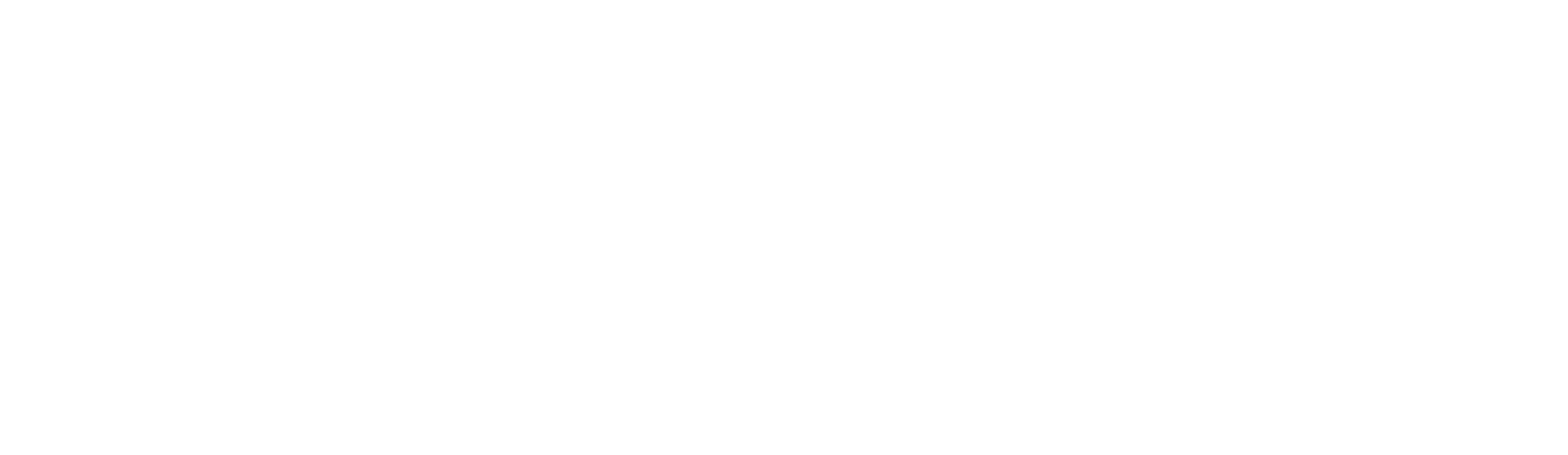 Şiddetin Tarihçesi