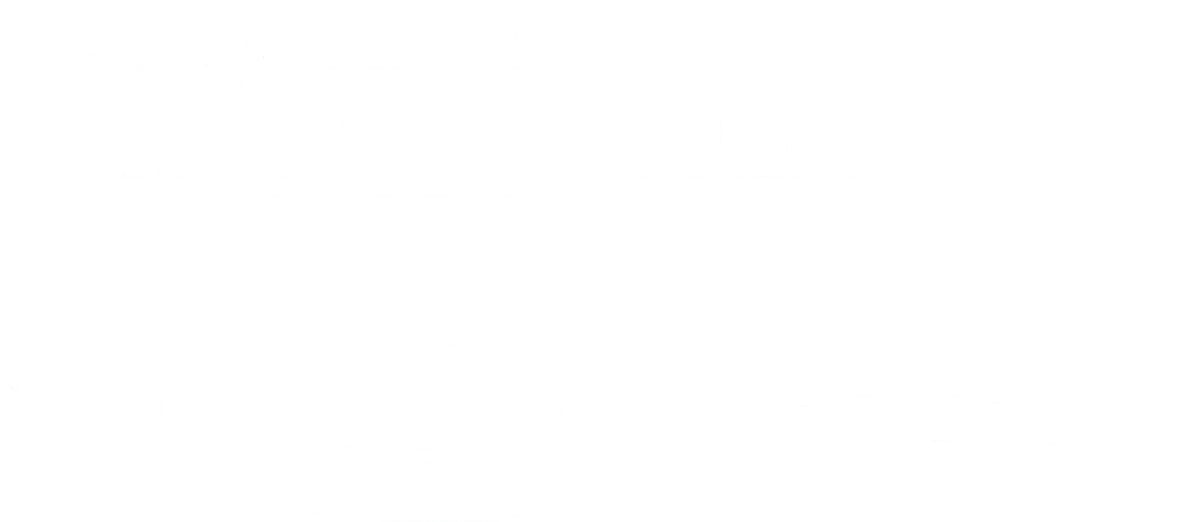 Kayıp Balık Nemo