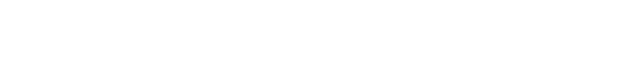 Profesyonel