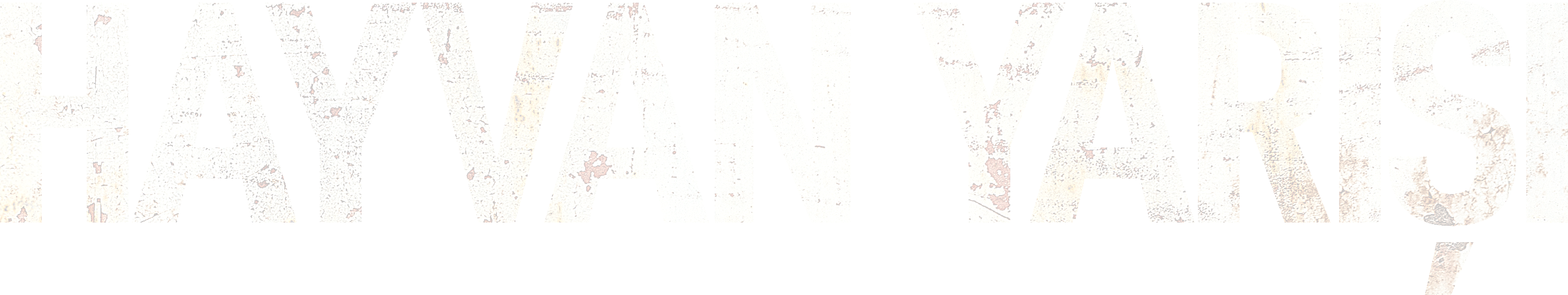 Hayvan Yarışı