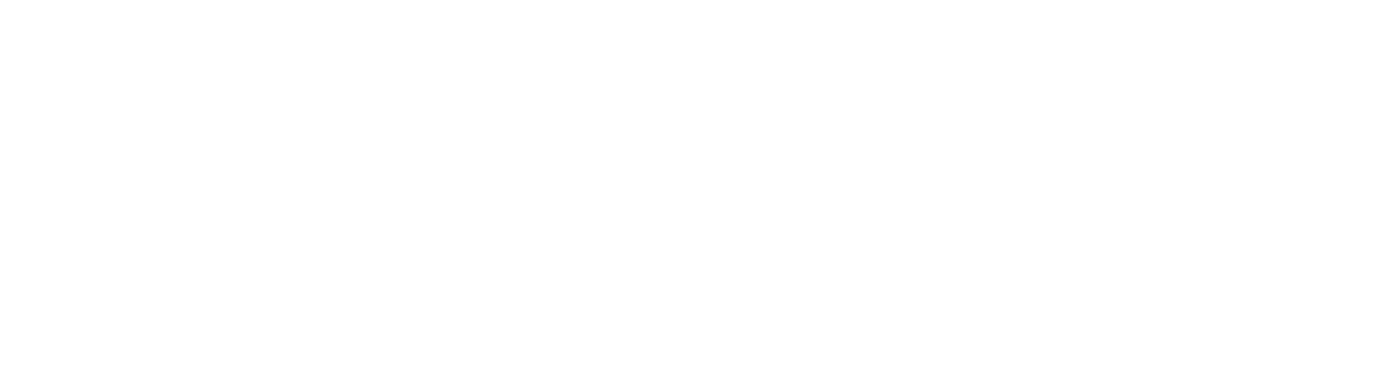 3 Aptal