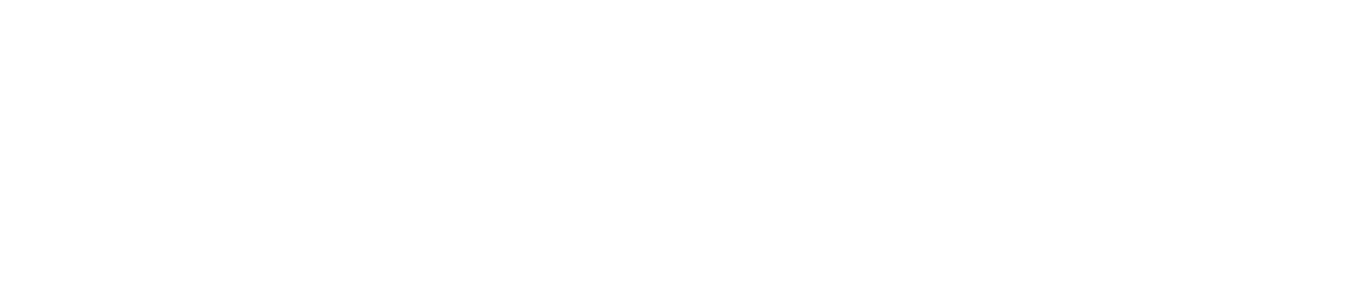 Parçalanmış