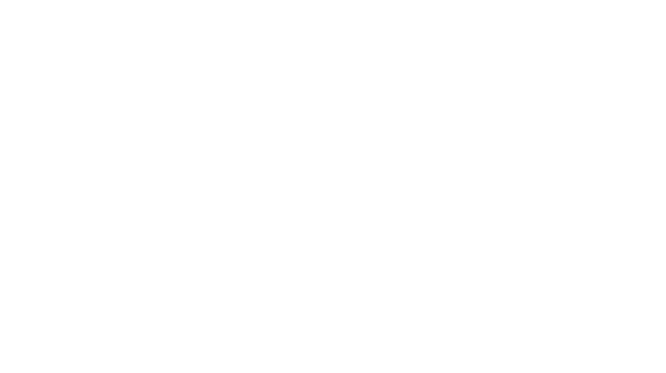 Ip Man: Kung Fu Ustası