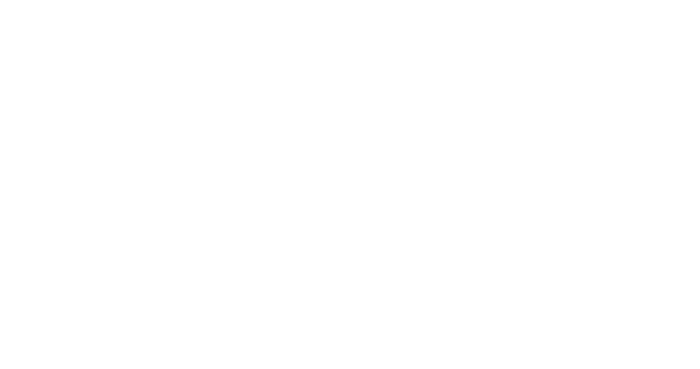 Aşk Tesadüfleri Sever