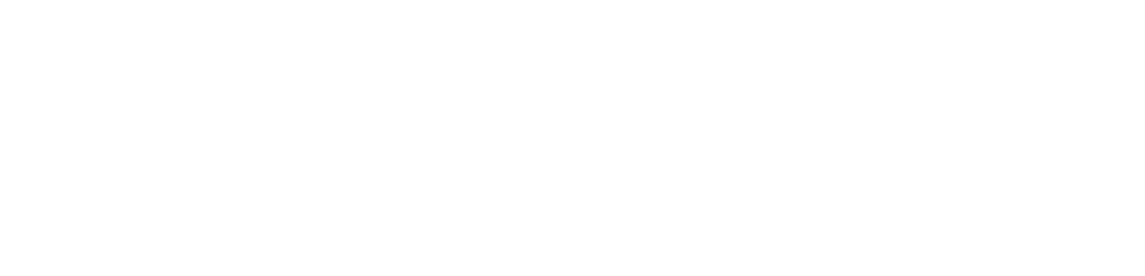 Yol Arkadaşım
