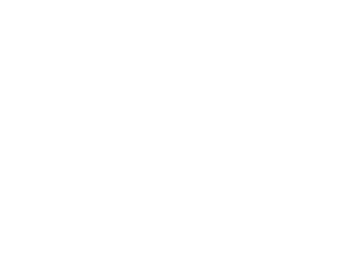 İllegal Hayatlar