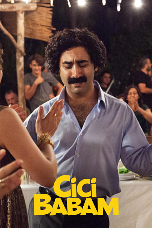 Cici Babam