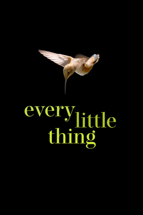 Every Little Thing