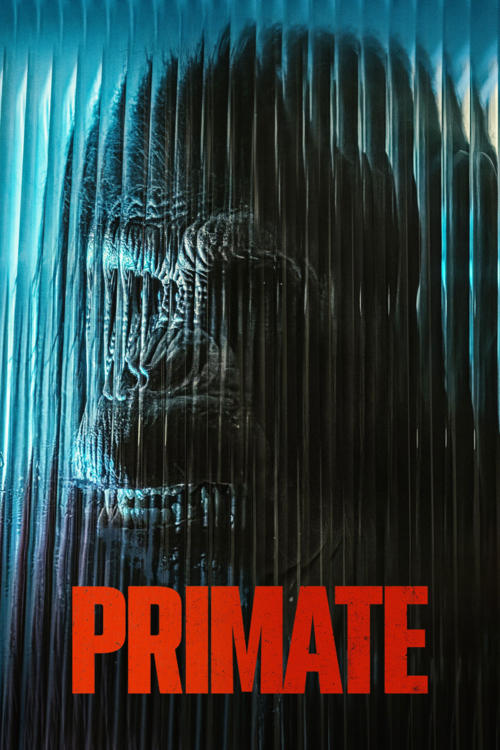 Primat