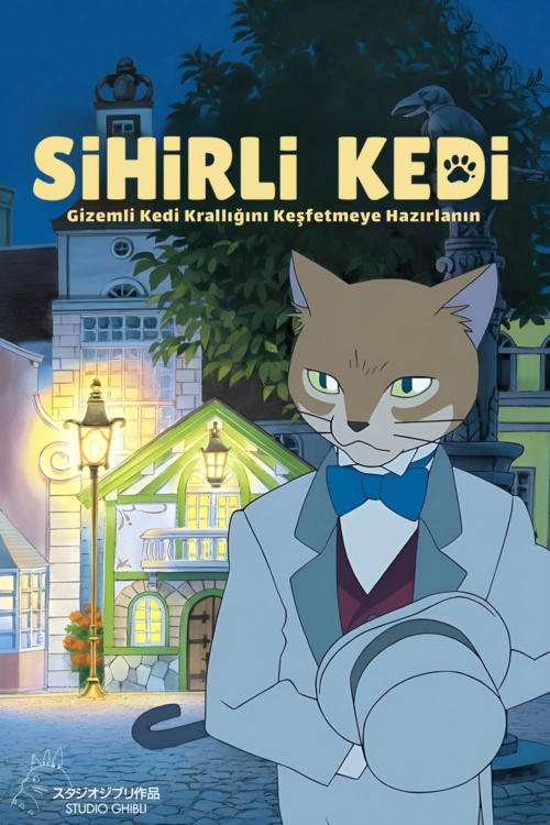 Sihirli Kedi