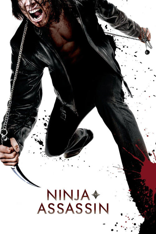 Ninja'nın İntikamı