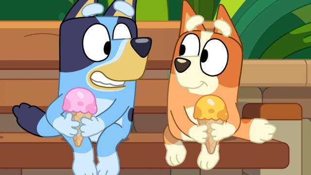 Barky Boats