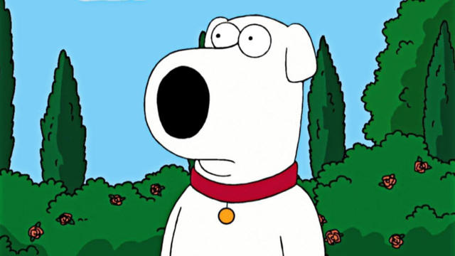 Köpeği Pert Etti