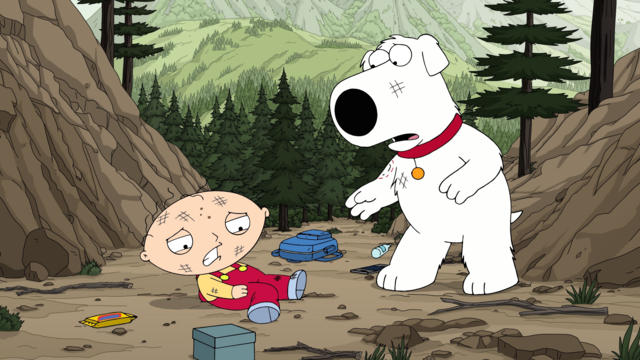 Dog Bites Bear