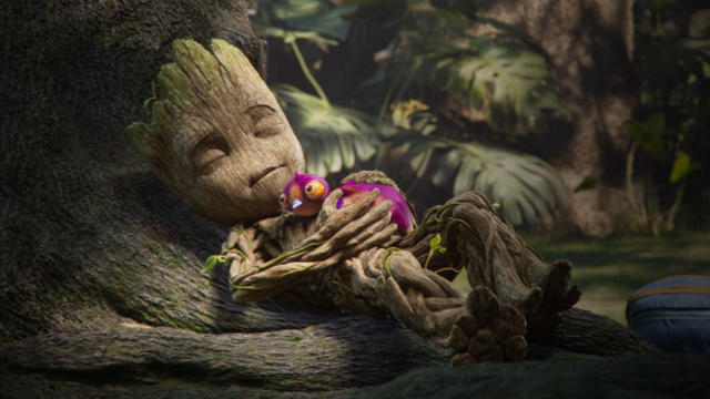Groot'um Musun?