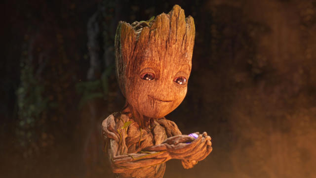 Groot ve Büyük Kehanet