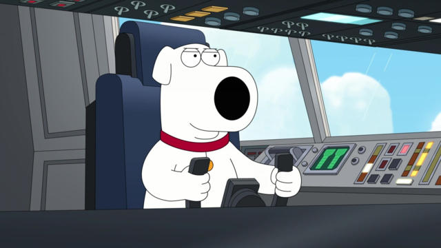 Dog Is My Co-Pilot